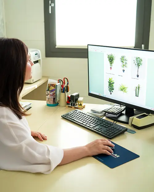 B2B approvvigionamento grossista fiori artificiali